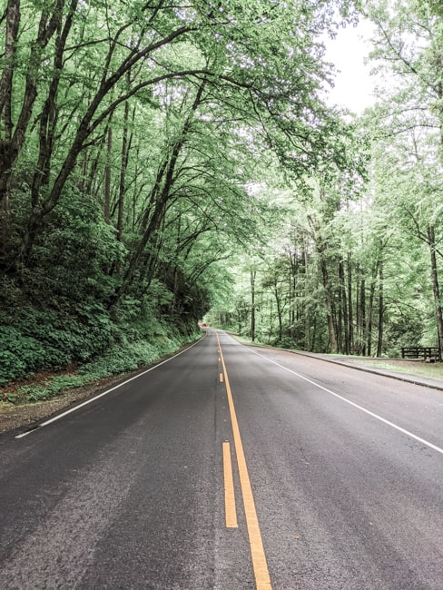 Some of the best hikes in the Smokies are along the Roaring Fork Nature Trail