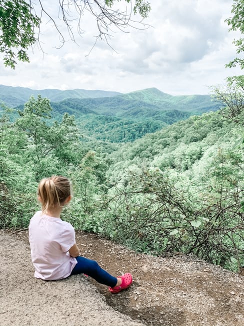 Smoky Mountains National Park Views