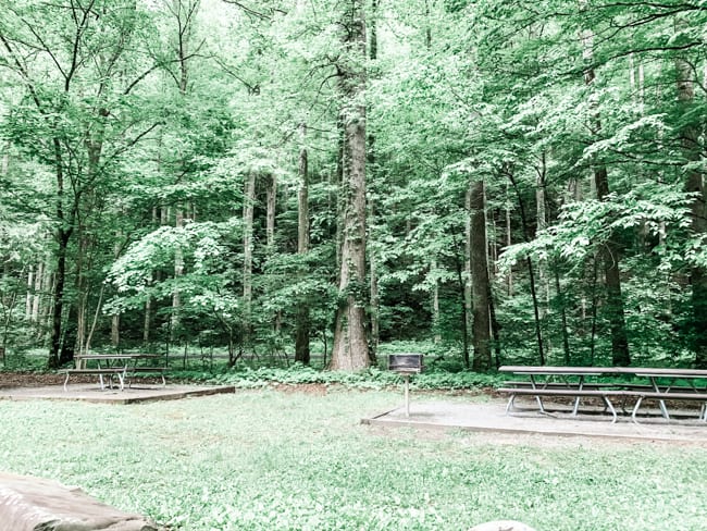 Metcalf Bottoms Picnic Area is a great place for lunch in between the best hikes in the Smokies