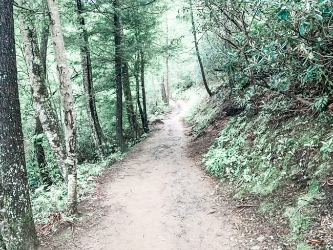 Smoky Mountains National Park - Grotto Falls Trail