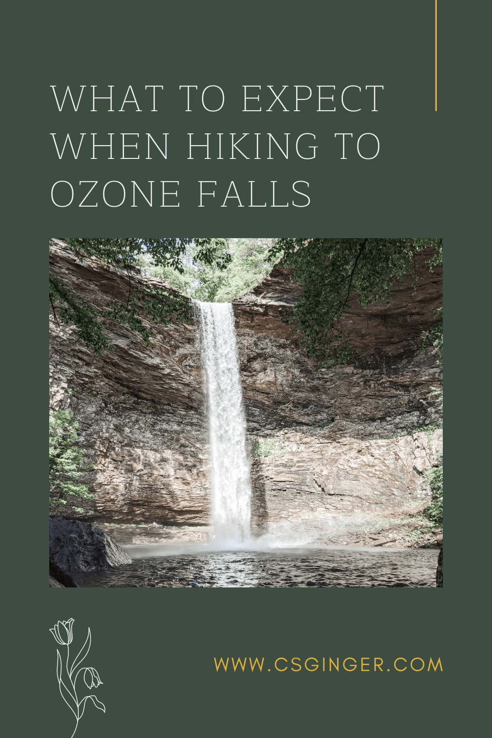 Ozone Falls Pinterest Graphic