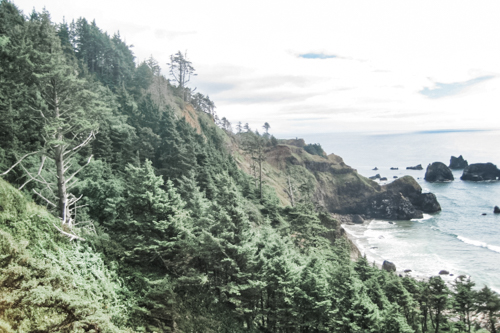 Hiking in Ecola State Park is one of the awesome things to do in Cannon Beach