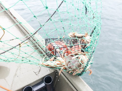 Crabbing in Oregon