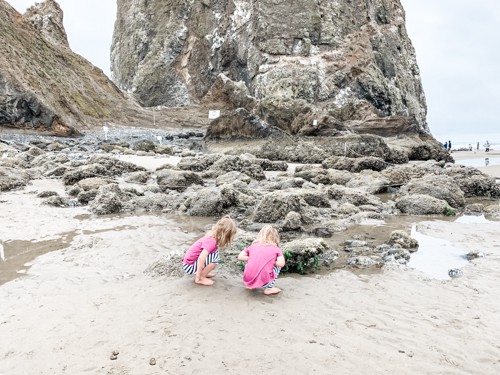 Unique And Fun Things To Do In Cannon Beach CS Ginger Travel