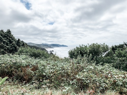Ocean and greenery views.