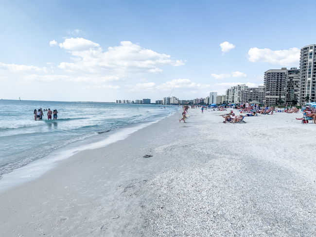 are dogs allowed on the beach in marco island fl