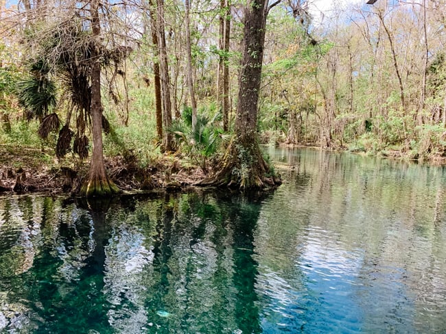 Silver Springs State Park is a beautiful spring near Orlando