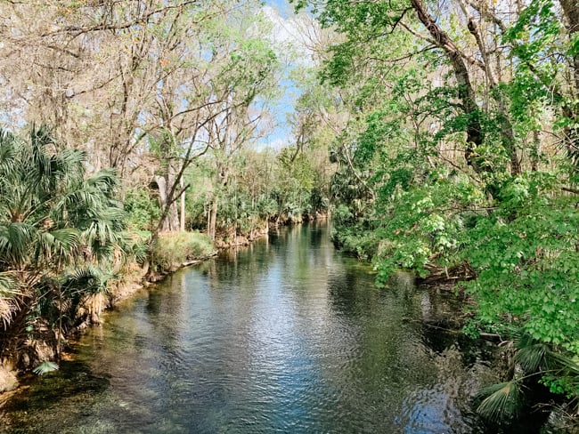 Silver Springs State Park - Springs Near Orlando