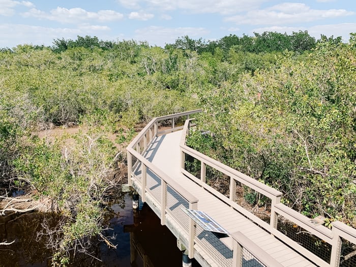 JN Ding Wildlife Refuge near Fort Myers is a great activity
