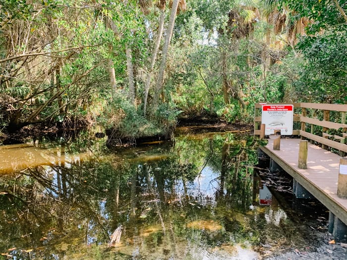 Paddling the Calusa Blueway is one of the fun things to do in Fort Myers