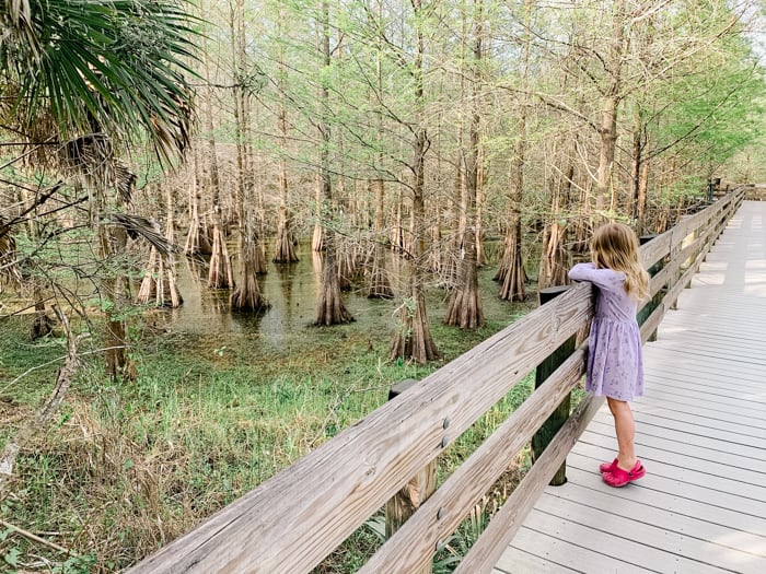 Exploring the Six Mile Slough Preserve is one of the fun things to do in Fort Myers