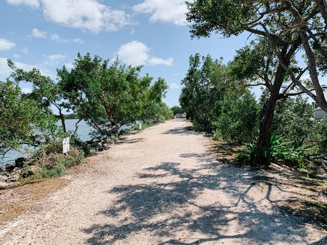 Enjoying nature trails is one of the fun things to do in Biscayne National Park