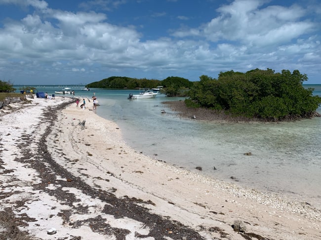 Shoreline in Florida.