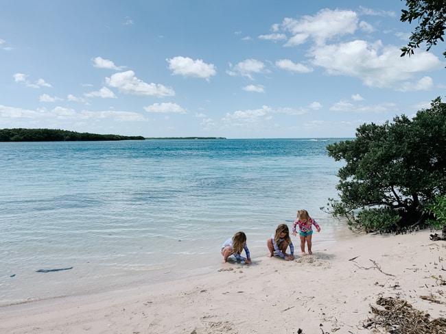Kids playing on a shoreline in Florida.