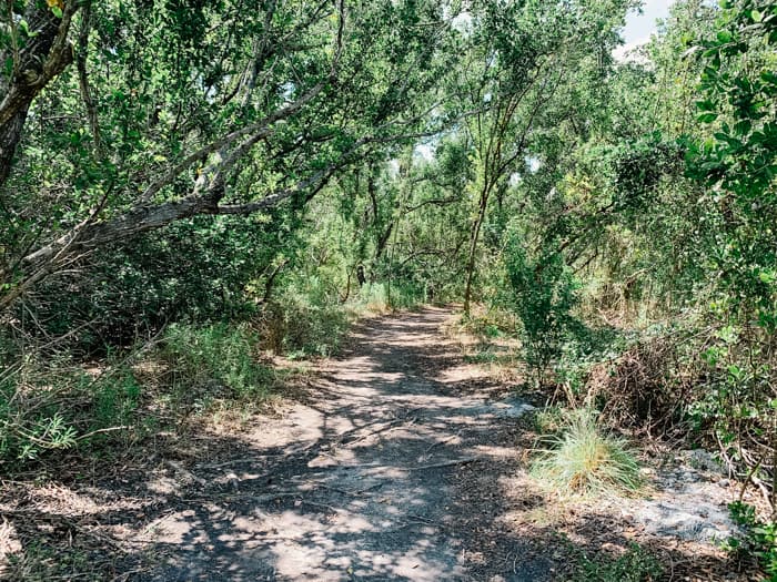 A hiking path shrouded with trees. A hike here is one of the best things to do in Biscayne National Park.