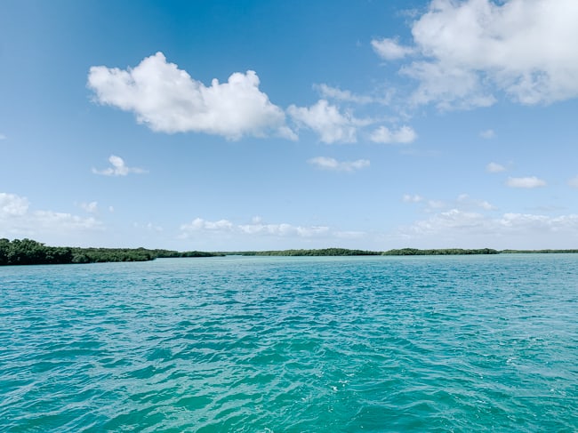 Open water at Biscayne National Park.