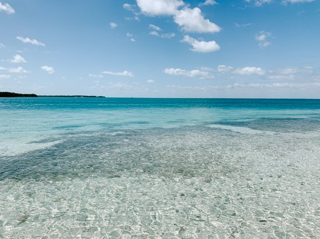 Clear water, exploring here is one of the most fun things to do in Biscayne National Park.