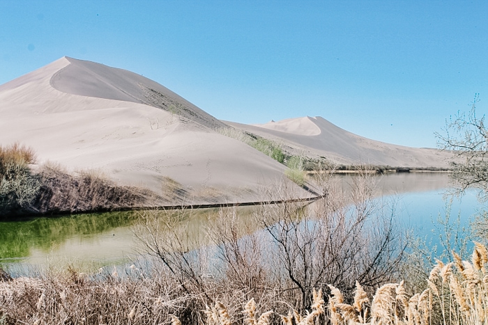 Escape to the Sand Dunes: A Guide to Idaho's Bruneau Dunes State Park (Eagle Cove Campground)