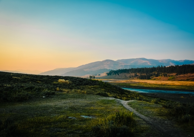 Exploring Hayden Valley is a great activity in Yellowstone