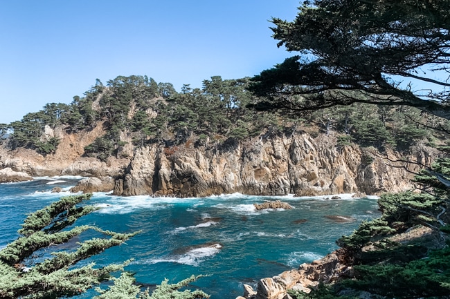 Hiking in Point Lobos is one of the fun things to do in Big Sur