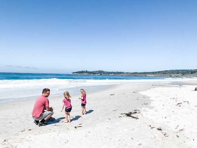 The beaches are beautiful in Big Sur