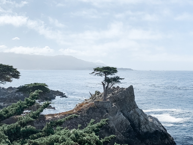 17-Mile Drive near Big Sur