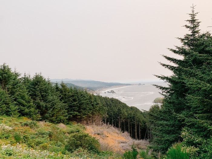 The Cape Sebastian Viewpoints has beautiful views of Gold Beach Oregon