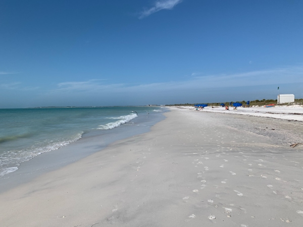 The Ultimate Guide To Visiting Caladesi Island Near Clearwater - Cs 