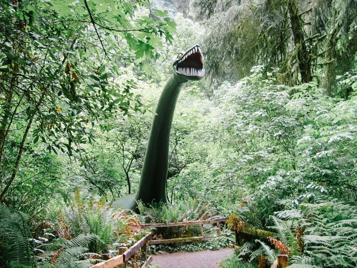 The Prehistoric Gardens are a family friendly stop in Gold Beach Oregon
