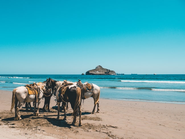 Riding horses on the beach is one of the best things to do in Puerto Rico
