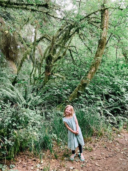 The Weatherwax Trail is a great place to go hiking in Ocean Shores
