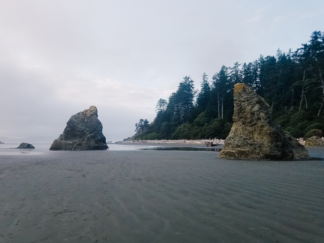 Ruby Beach is a great tide pool to visit near the Ocean Shores tide pools