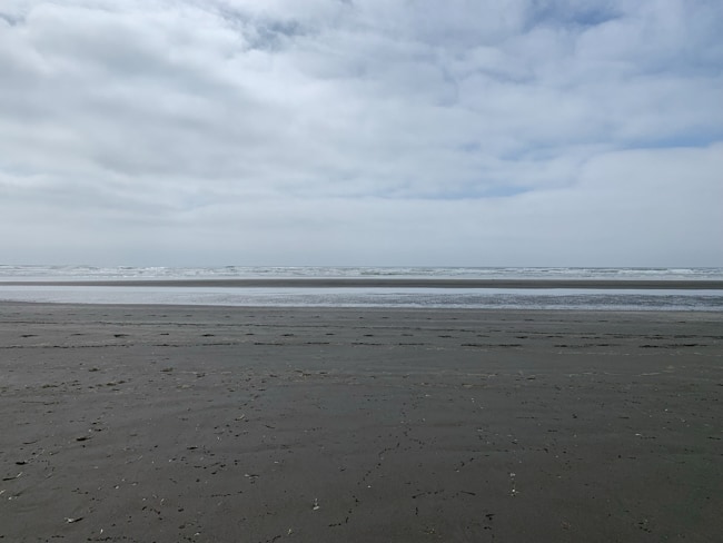 All of the beaches in Ocean Shores are dog friendly if they are on a leash.