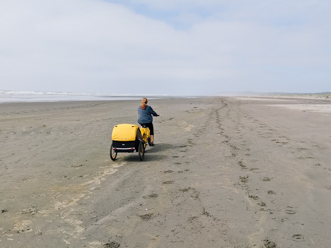Is ocean shores dog friendly - yes