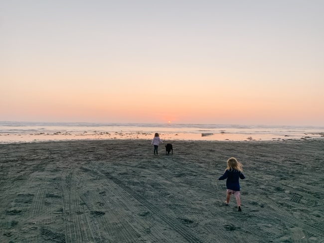 The off leash dog park makes it easy to know is ocean shores dog friendly