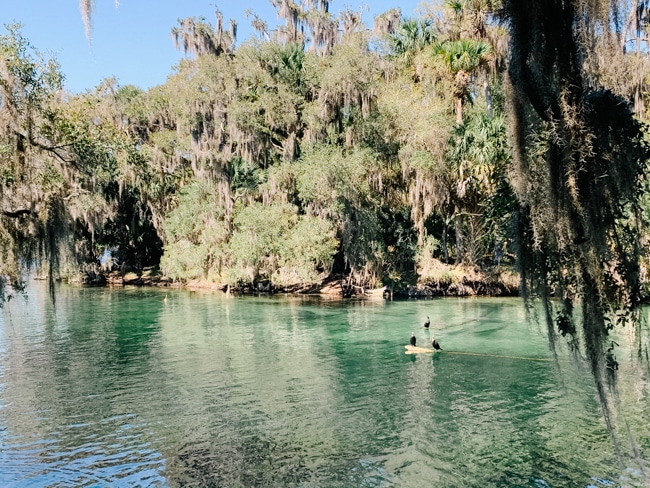 The natural springs near Orlando, Florida