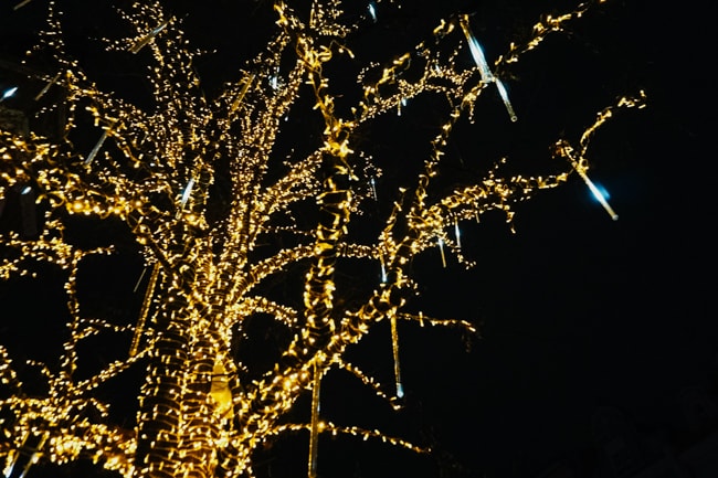 Holiday activities are one of the best things to do in Las Vegas during Winter