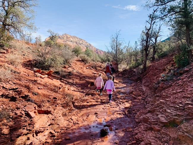 Devil's Bridge Trail is pretty easy until the final ascent to the bridge