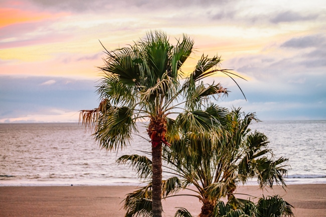 Venice Beach near Siesta Key, Florida