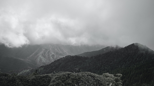 Scenic vista along one of the best hikes in the Smokies.