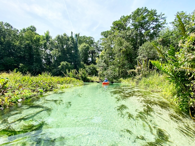 The Springs have beautiful clear water in Florida