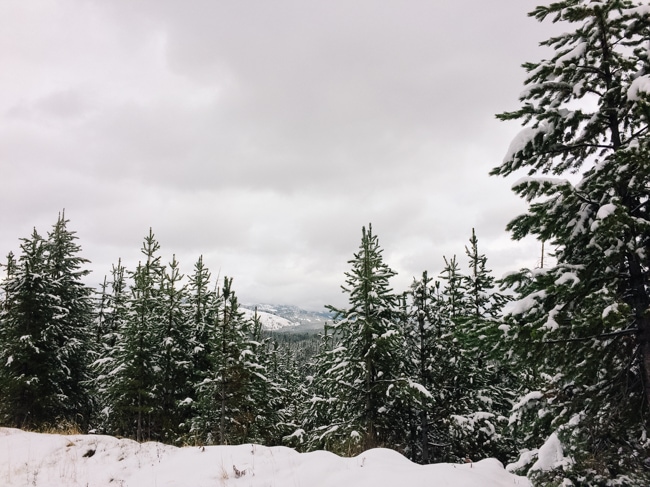 Winter is a unique time to visit Yellowstone National Park