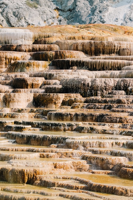 There are lots of fun things to do during the best time to visit Yellowstone