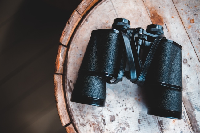 Having the best binoculars for Yellowstone National Park will greatly enhance your visit.