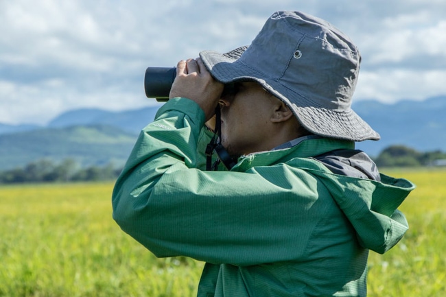 Looking for wildlife using binoculars for Yellowstone National Park.
