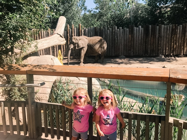 There are lots of fun things to do in Salt Lake City before driving to Yellowstone National Park.