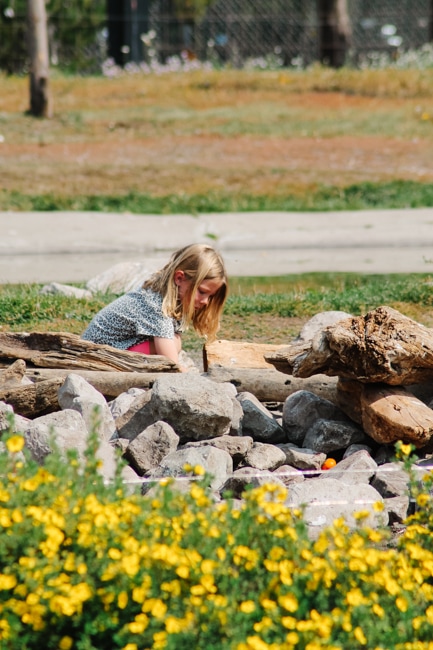 Yellowstone with kids