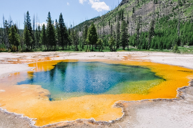 Morning Glory Pool in Yellowstone