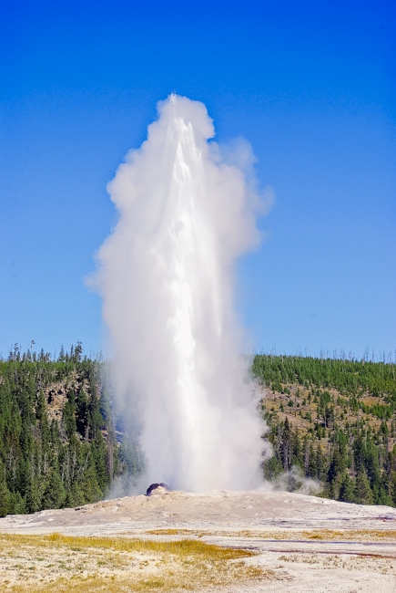 Old Faithful in Yellowstone with kids
