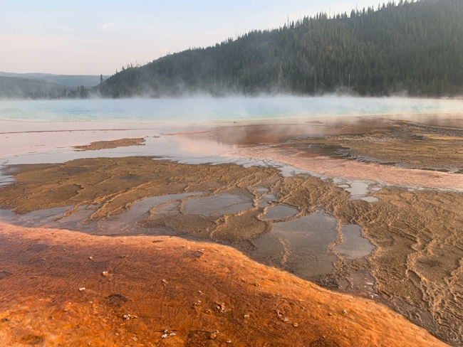 You can see the rainbow colors from the Grand Prismatic Spring Overlook